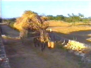 CAMPO - (74)  LABRANZA